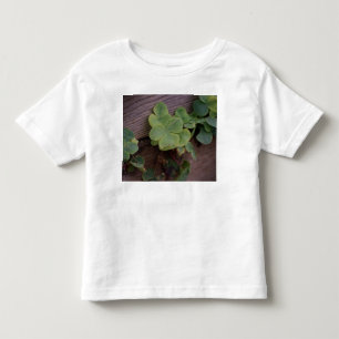 Lucky or Determined? Saint Patricks Day Shamrocks Toddler T-shirt