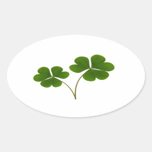 Lucky Oval Sticker