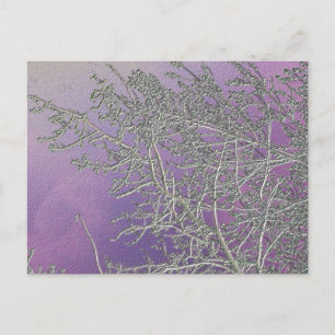 Lucky Purple n Silver Streaks V5 Postcard