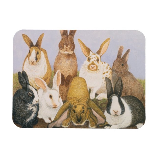 Lucky rabbits magnet (Horizontal)