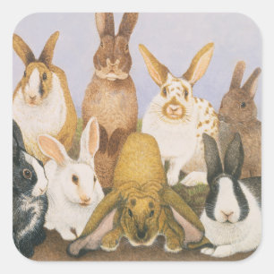 Lucky rabbits square sticker