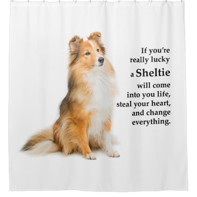 Lucky Sheltie (Front)