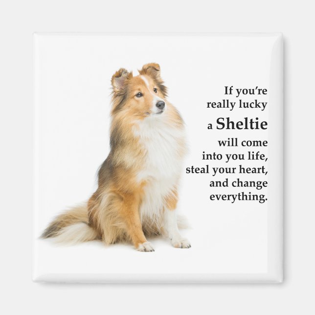 Lucky Sheltie Magnet (Front)