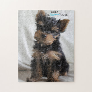 Lucky The Japanese Yorkie 10x14 puzzle at 3 months