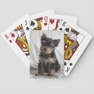 Lucky The Japanese Yorkie playing cards