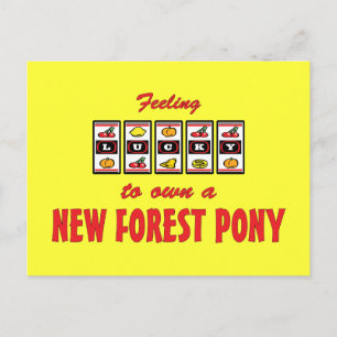Lucky to Own a New Forest Pony Fun Design Postcard