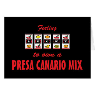 Lucky to Own a Presa Canario Mix Fun Dog Design