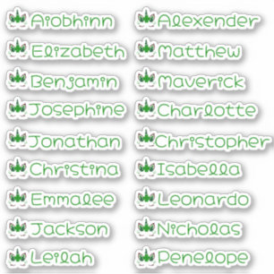 Lucky Unicorn Custom Multiple Name Stickers
