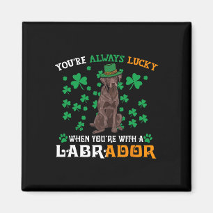 Lucky With A Chocolate Labrador Dog St Patricks Da Magnet