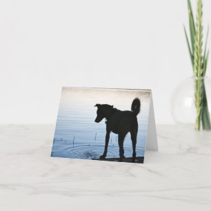 Lucky's Favorite Spot Note Card