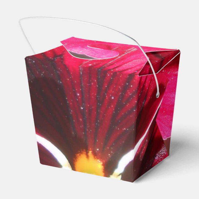Lucrezia Favor Box (Back Side)