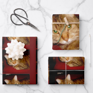 Lucy Kitty Wrapping Paper Sheet Set