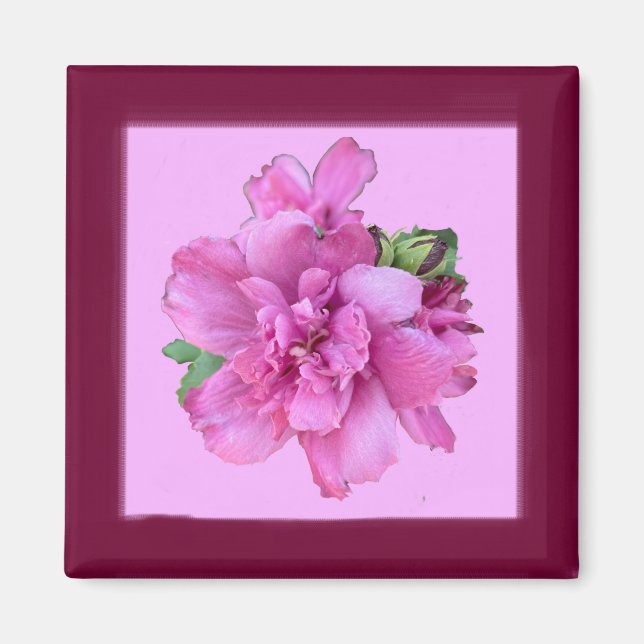 Lucy Rose Square Magnet (Front)