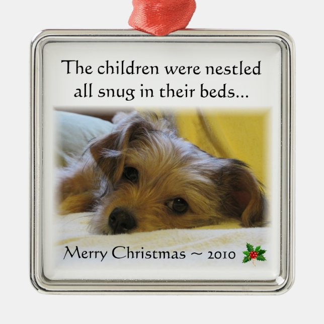 Lucy's Christmas Ornament 2010 (Front)