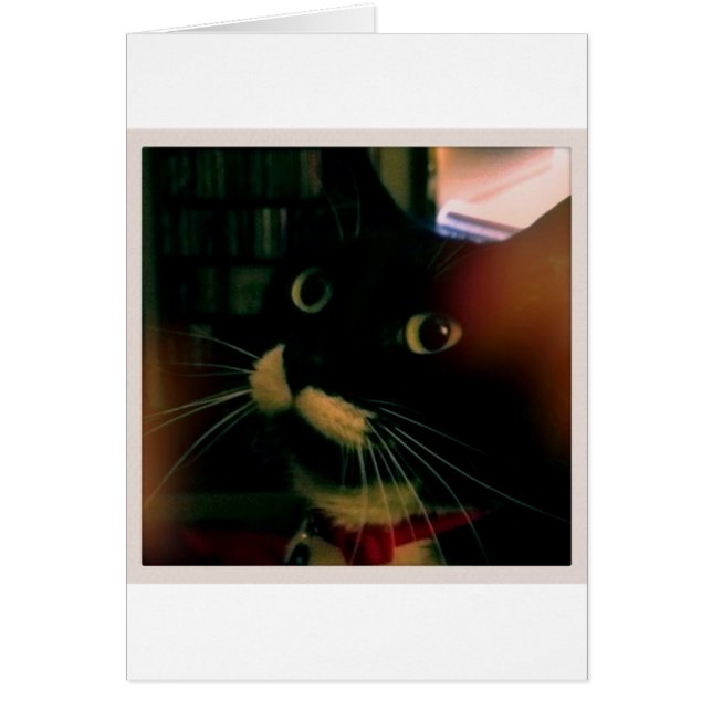 Lucy's Closeup (Front)