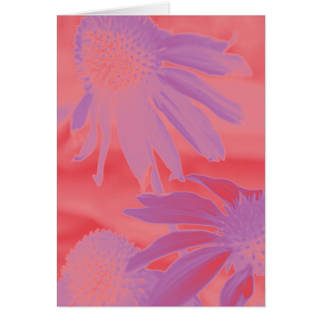 Lueur au néon de l'echinacée #9 (Devant)