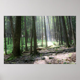 Lueur d'espoir 36 x 24 affiches