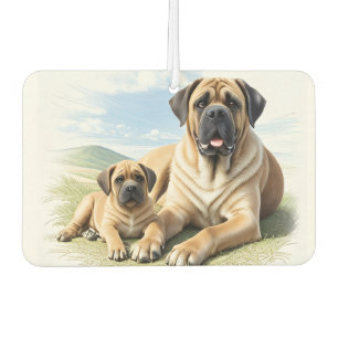 Lufterfrischer Air Freshener