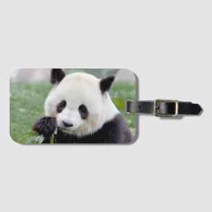 Luggage giant panda 1 . luggage tag