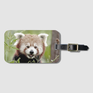 Luggage panda 3 . luggage tag