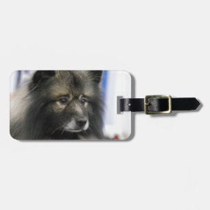 Luggage Tag - Customized