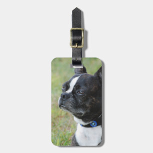 Luggage Tag - Customized