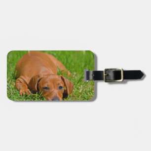 Luggage Tag - Customized