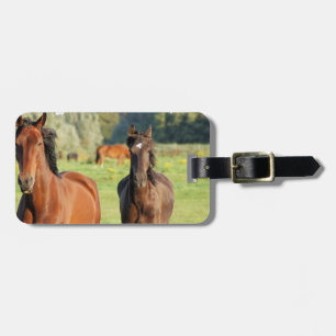 Luggage Tag - Customized