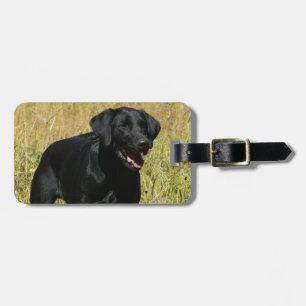 Luggage Tag - Customized