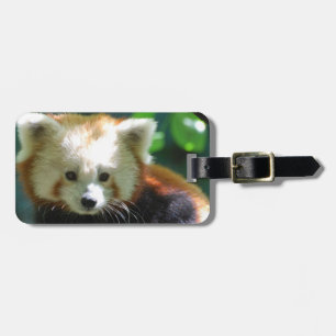 Luggage Tag - Customized