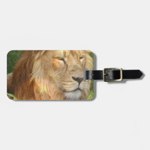 Luggage Tag - Customized