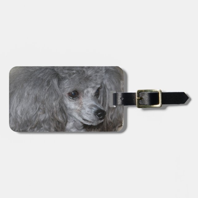 Luggage Tag - Customized (Front Horizontal)