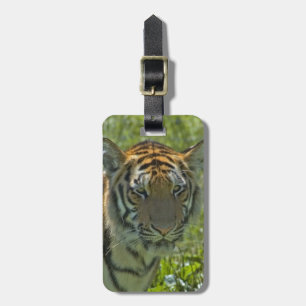 Luggage Tag - Customized