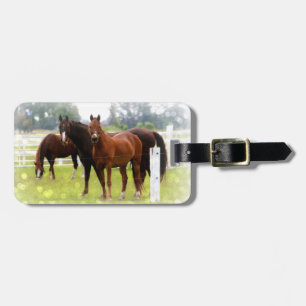 Luggage Tag/Horses Luggage Tag