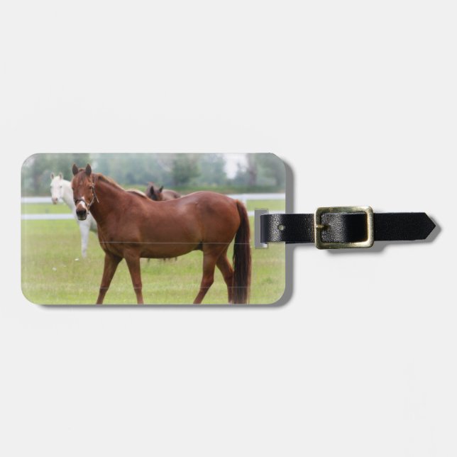 Luggage Tag/Horses Tag (Front Horizontal)
