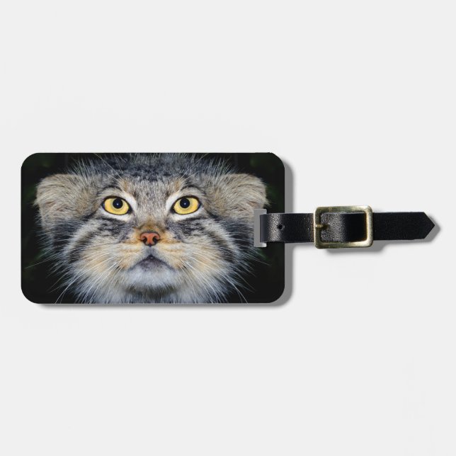 Luggage tag - pallas cat (Front Horizontal)