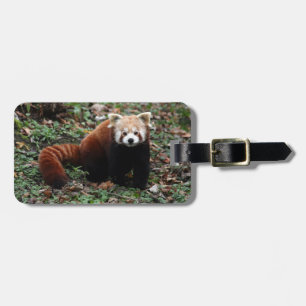 Luggage tag - red panda 3