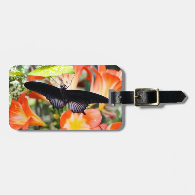 Luggage Tag/Spicebush Swallowtail Tag (Front Horizontal)