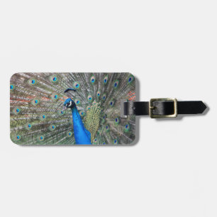 Luggage Tag w/ leather strap with peacock