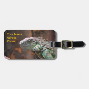 Luggage Tag with colourful Iguana Lizard