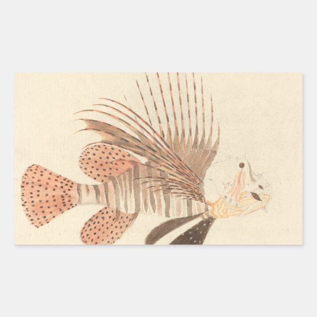 Luigi Balugani - Lionfish Sticker (Front)