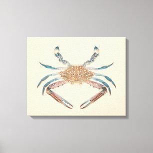 Luigi Balugani - Portunua Pelagicus - Blue Crab Canvas Print