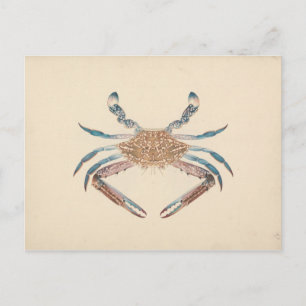 Luigi Balugani - Portunua Pelagicus - Blue Crab Postcard