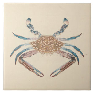 Luigi Balugani - Portunua Pelagicus - Blue Crab Tile