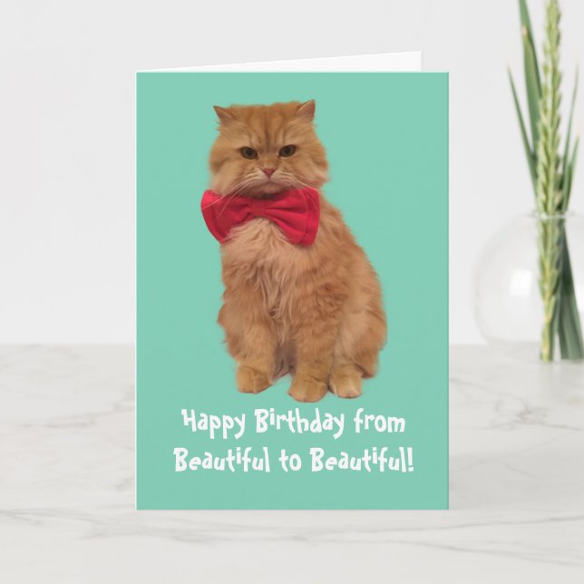 Luigi la carte d'anniversaire de chat de lion (Devant)