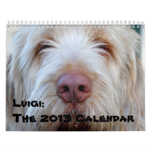 Luigi : Le calendrier 2013