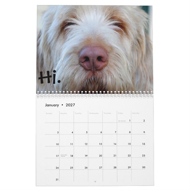 Luigi:  The 2013 Calendar (Jan 2027)