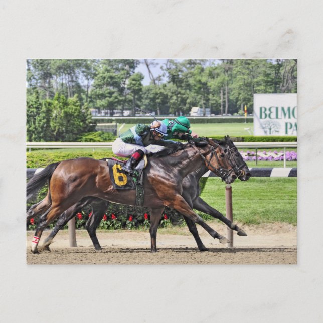 Luis Saez on Milesmore at Belmont Park Postcard (Front)