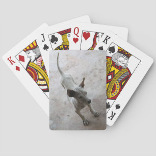 Luk Maa ... Thai Soi Puppy Dog Playing Cards