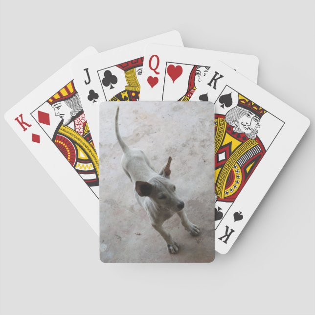 Luk Maa ... Thai Soi Puppy Dog Playing Cards (Back)